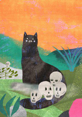 black cat and skulls illustration 